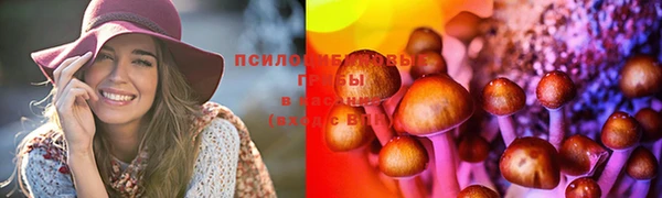 ешки Верея